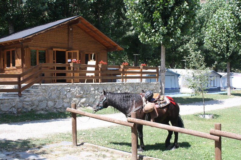 Bungalows Nou Camping La Guingueta D'Aneu Zewnętrze zdjęcie